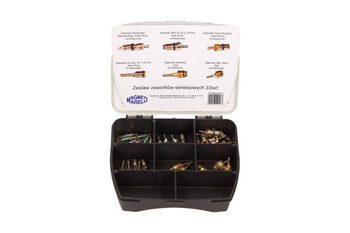 MAGNETI MARELLI ZESTAW ZAWORKÓW SERWISOWYCH KLIMATYZACJI 007950024070 33SZT