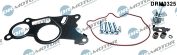 DR. MOTOR ZESTAW NAPRAWCZY POMPY PRÓŻNIOWEJ DRM0325 VW GOLF 2,0TDI 03-