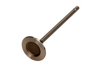 FRECCIA Zawór Ssący R6029/S Renault 1.4/1.6 16V