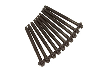 VICTOR REINZ Śruby głowicy 14-32206-01 Citroen 1.4HDI, Ford 1.6TDCI