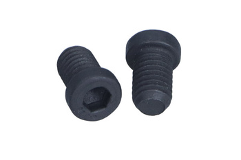 TEXTAR Śruba Tarczy Hamulcowej 2 szt. TPM0009 BMW PRZÓD / TYŁ 1 / 2 / 3 / 4 / 5 / 6 / 7 / 8 / X5 / Z4 80-