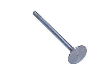 FRECCIA Zawór Ssący BMW 3.0D 24V R6619/SCR