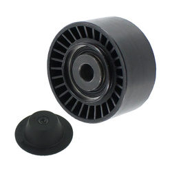 SKF Rolka Paska Wielorowkowego Renault 2.0 dCi 05- VKM36087