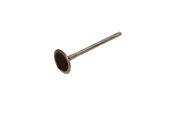 FRECCIA Zawór Ssący VW R6206/S 1.8 / 2.0 16V