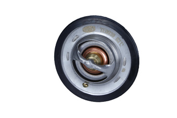 MAGNETI MARELLI Termostat TE0039 - FIAT 82°C