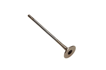 FRECCIA Zawór Wydechowy FIAT 16 16V 05- R6367/BMCR