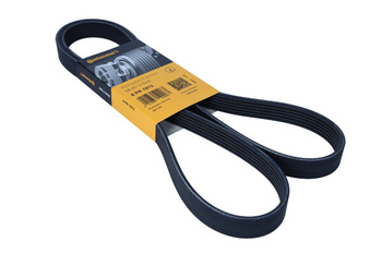 CONTITECH Pasek Klinowy Wielorowkowy 6PK1613