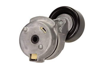 INA Napinacz paska wielorowkowego 534034110 HYUNDAI H-1, KIA SORENTO 2.5CRDI 08.02-