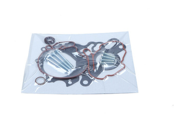 MAXGEAR Zestaw naprawczy pompy próżniowej 27-2016 VW 2,0TDI 03-