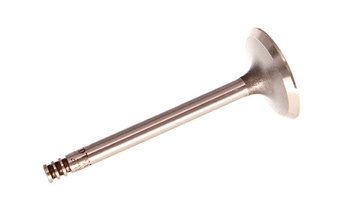 TRW ENGINE COMPONENTS Zawór Ssący VW 1.4/1.9/2.0/2.5 TDI 6V/8V/10V