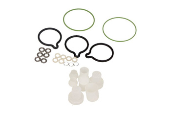 BOSCH Zestaw naprawczy pompy wtryskowej F01M101454