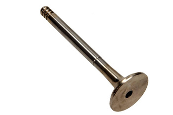 FRECCIA Zawór Wydechowy R4640/BMARCR VW 1.9D/2.4 8V/10V