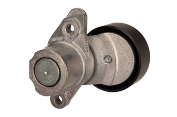 DAYCO NAPINACZ PASKA WIELOROWKOWEGO APV3682 VW 1,0 11-