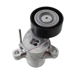SKF Napinacz paska wielorowkowego VKM34119 FORD 1.0/1.1 (od 2012)