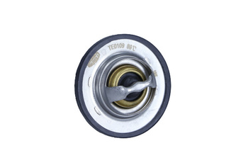 MAGNETI MARELLI Termostat Renault Megane 89°C TE0109