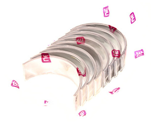 NE EUROPE Panewki Korbowodowe RENAULT 2.2 DCI STD Komplet 181038001000