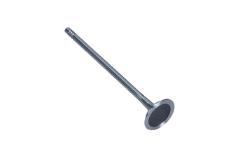 FRECCIA Zawór Wydechowy R6725/R PEUGEOT/CITROEN 1.4/1.6 16V