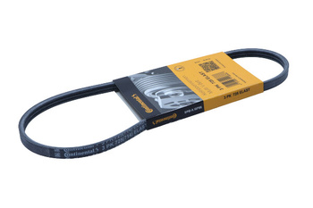 CONTITECH Pasek wielorowkowy 3PK725 ELAST FORD 2.0 ECOBLUE